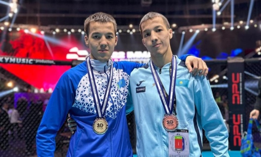 Чемпионом мира по ММА стал наш земляк!